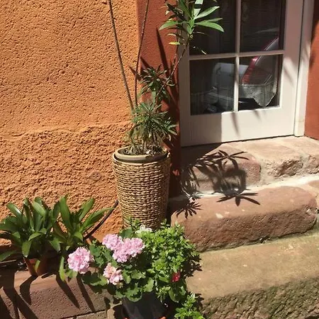 Im Haus Der Kuenste Semesterbostad *