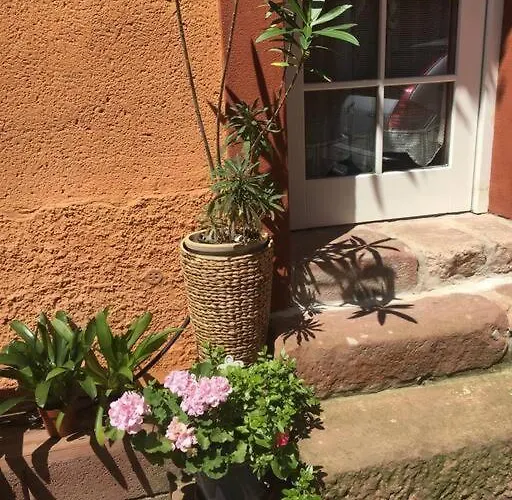 Im Haus Der Kuenste Holiday home *